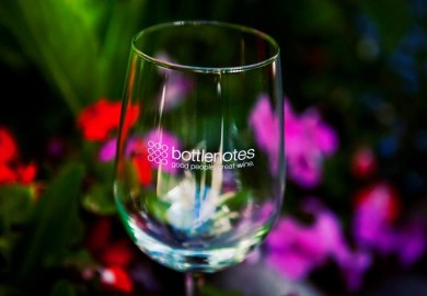 Kathie Lee Wine Interview